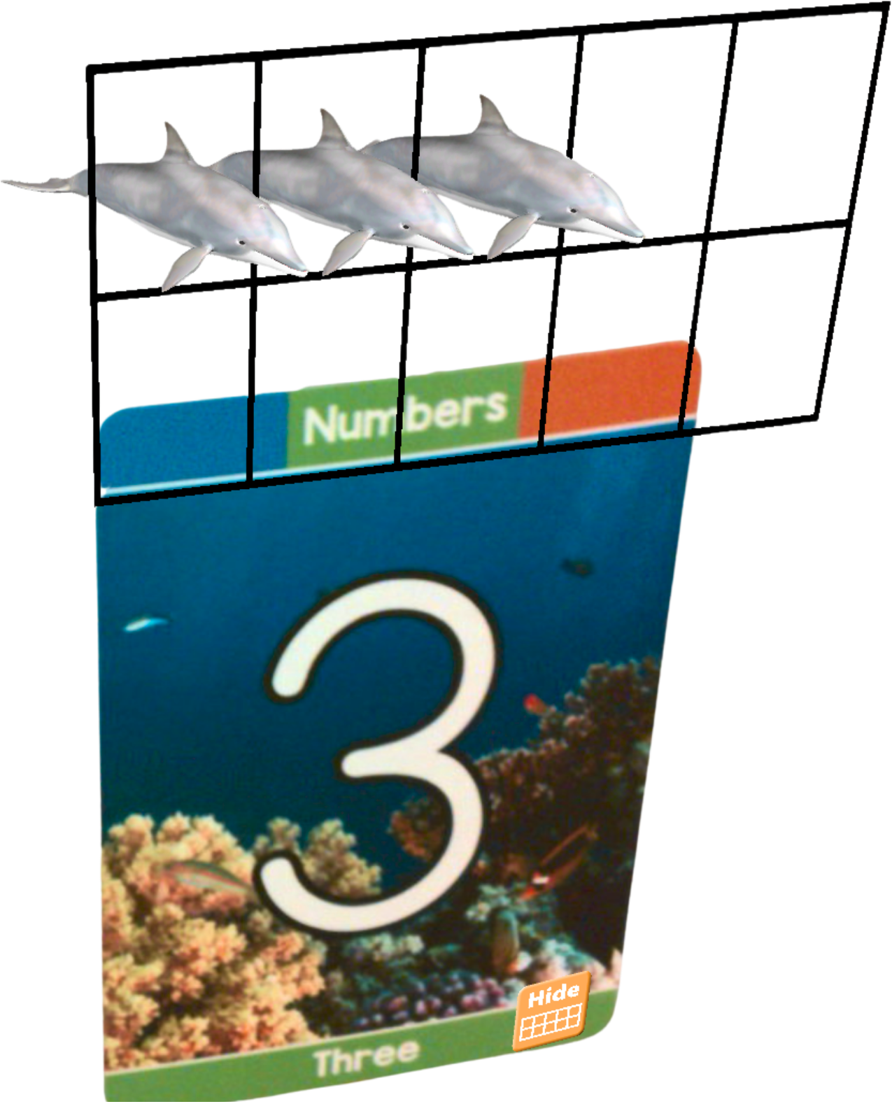 Number 3 Dolphins 3D